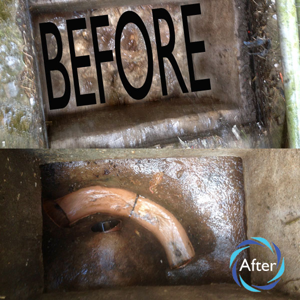 Blocked drain and Clear Drain before and after